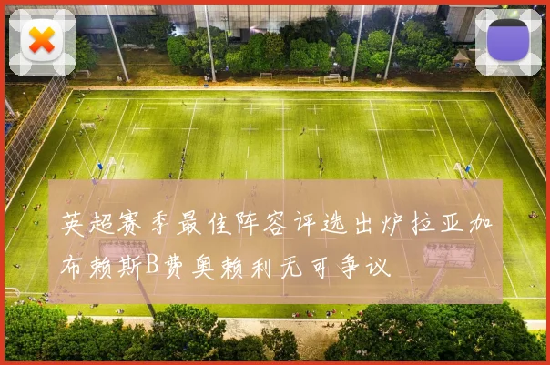 英超赛季最佳阵容评选出炉拉亚加布赖斯B费奥赖利无可争议