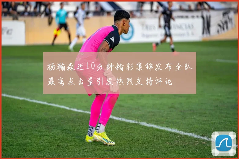 杨瀚森近10分钟精彩集锦发布全队最高点击量引发热烈支持评论
